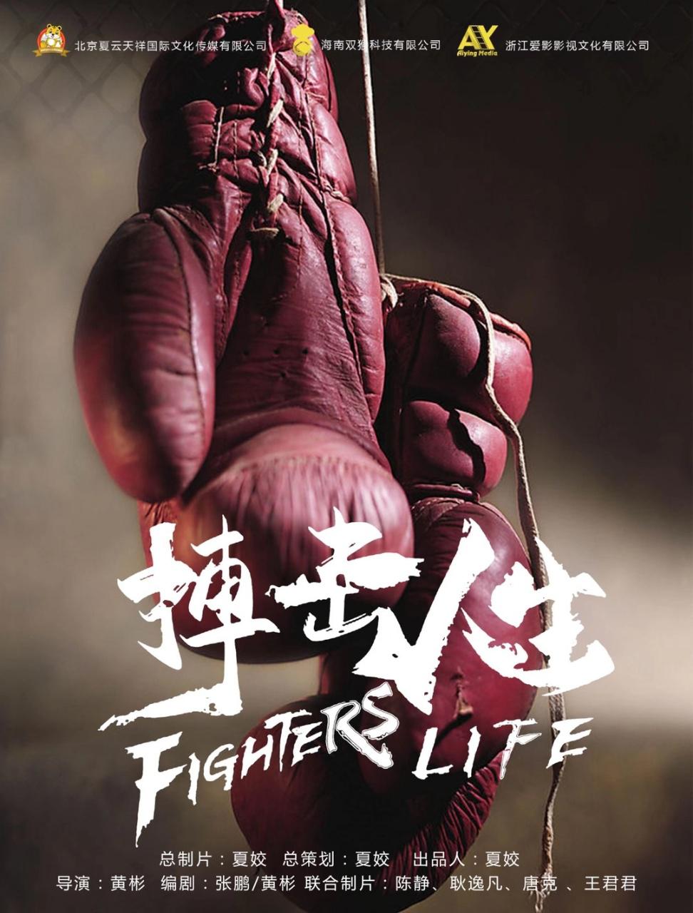 包含热血搏击，选手风采十足引无数人瞩目的词条