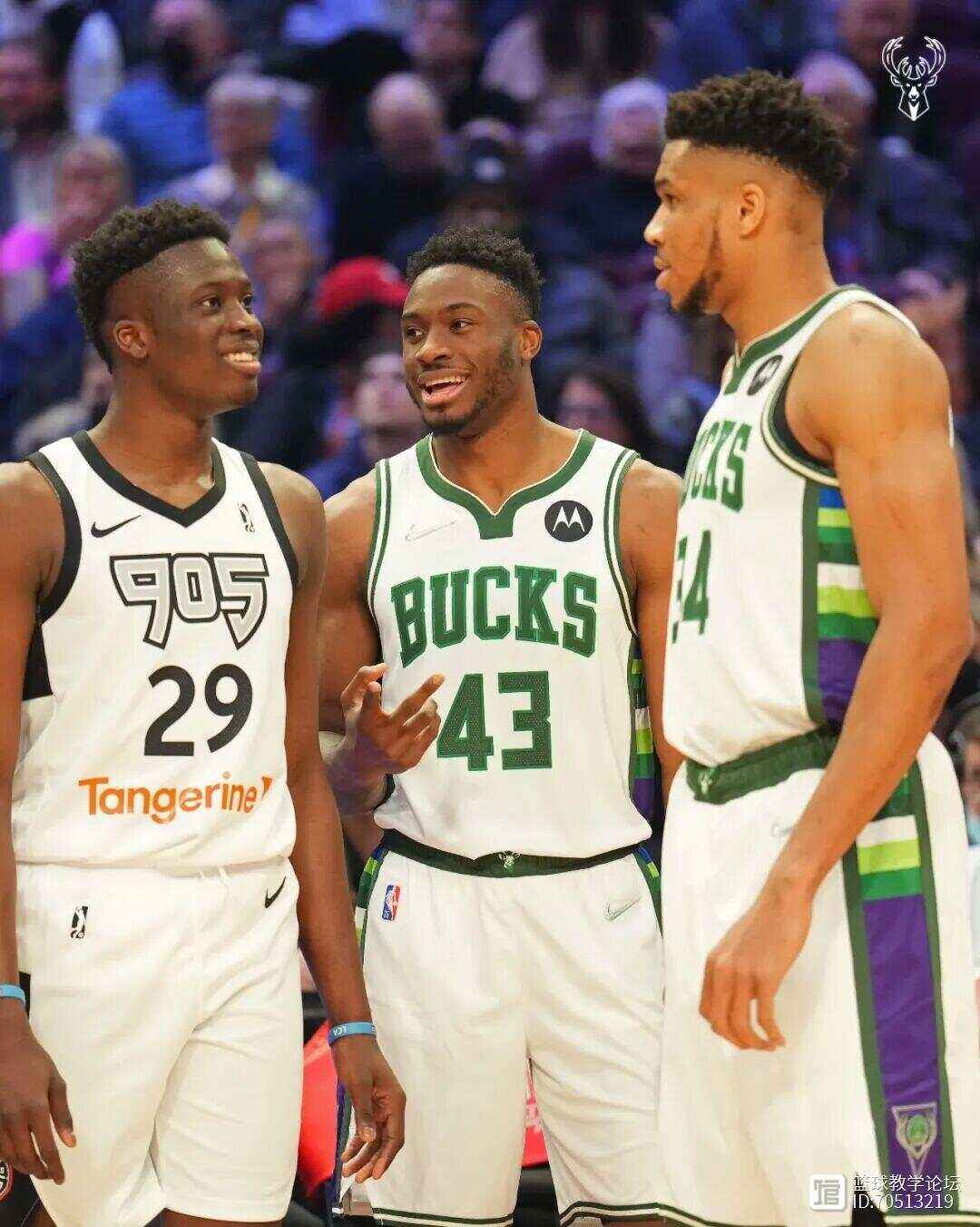 雄鹿惨遭黄蜂逆袭,字母哥发挥不佳!沃克火力全开?的简单介绍 雄鹿惨遭黄蜂逆袭,字母哥发挥不佳!沃克火力全开?的简单介绍