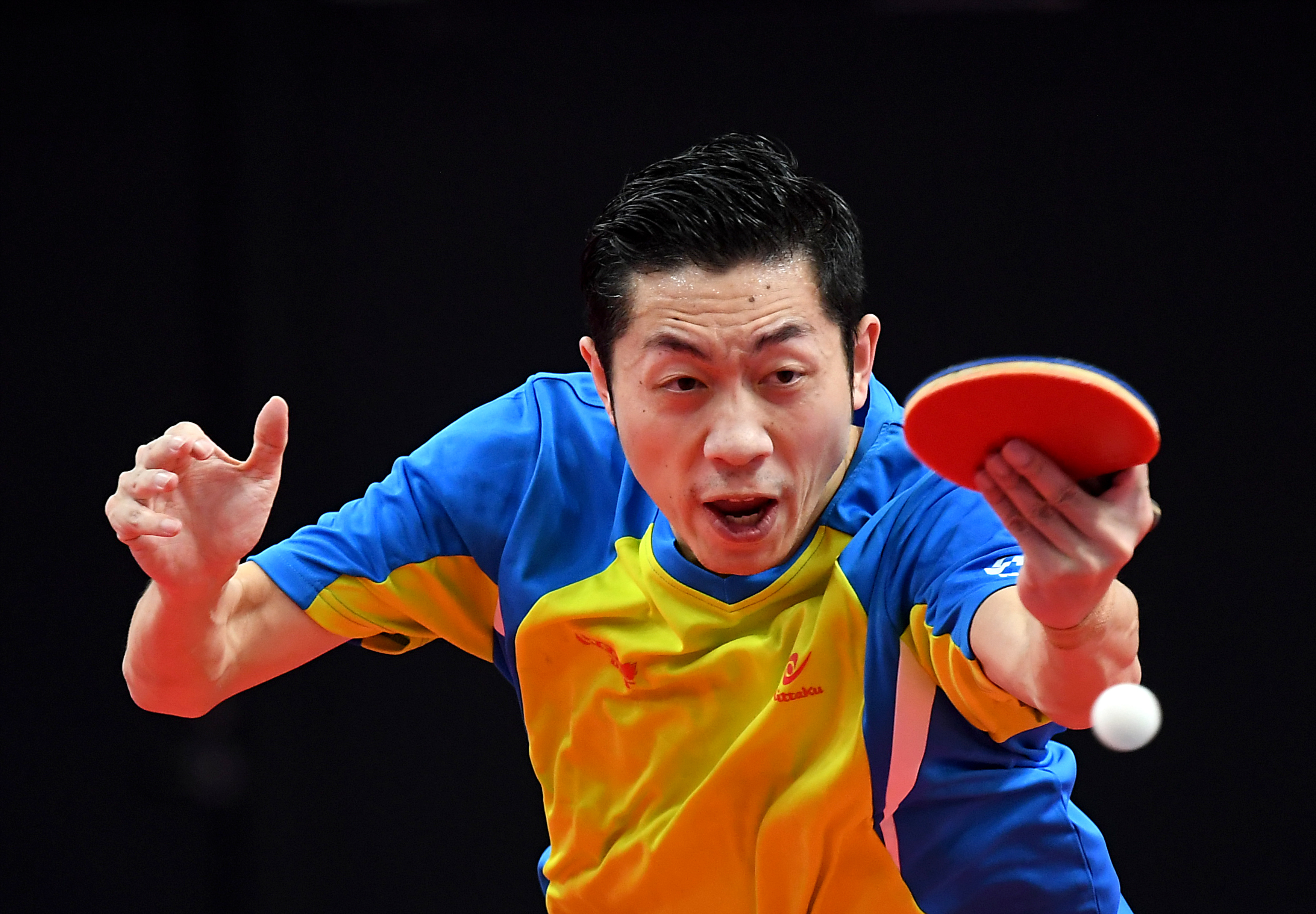 波兰乒乓球队力克比利时乒乓球队，许昕绝境逆转的简单介绍