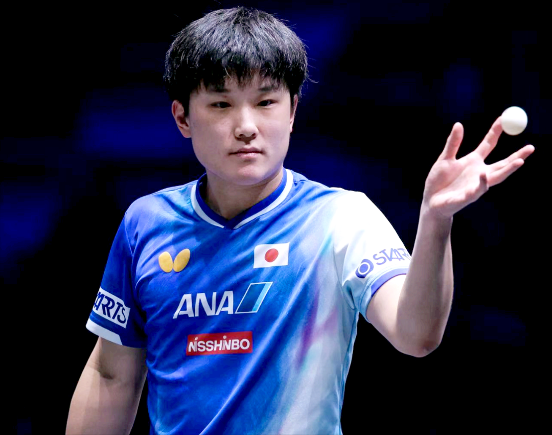 关于比利时乒乓球队横扫瑞典乒乓球队，张本智和送出助攻的信息