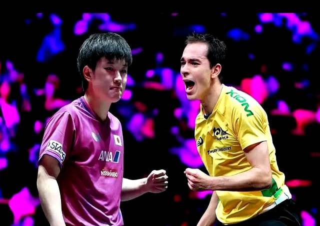 关于比利时乒乓球队横扫瑞典乒乓球队，张本智和送出助攻的信息