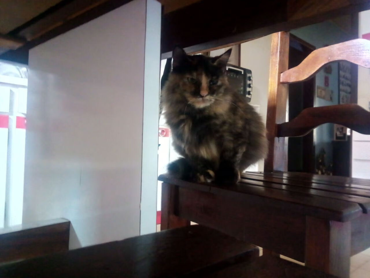 开云官网-黄蜂惨遭莫氏蛰刺，那个叫莫兰特的男人，让雄鹿都成了配角