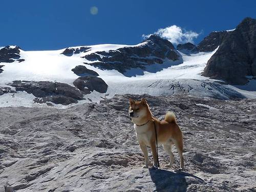 赖斯加时绝杀定乾坤，波兰惊险突围显硬仗本色