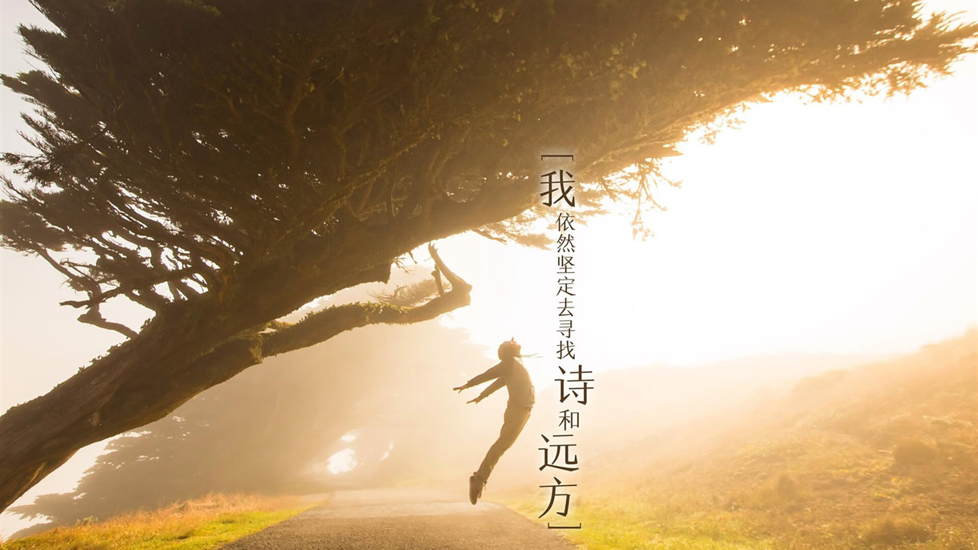 剑落底特律,奇才提前终结悬念,布克化身关键先生定乾坤