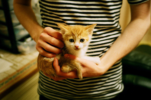 超越疆界的星光，当法老萨拉赫点亮国家德比之夜