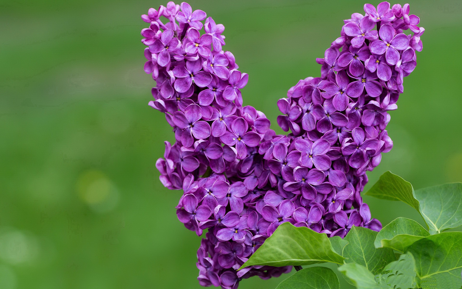 姆巴佩独木难支！巨星之光下，尼日利亚新锐一波流带走韩国