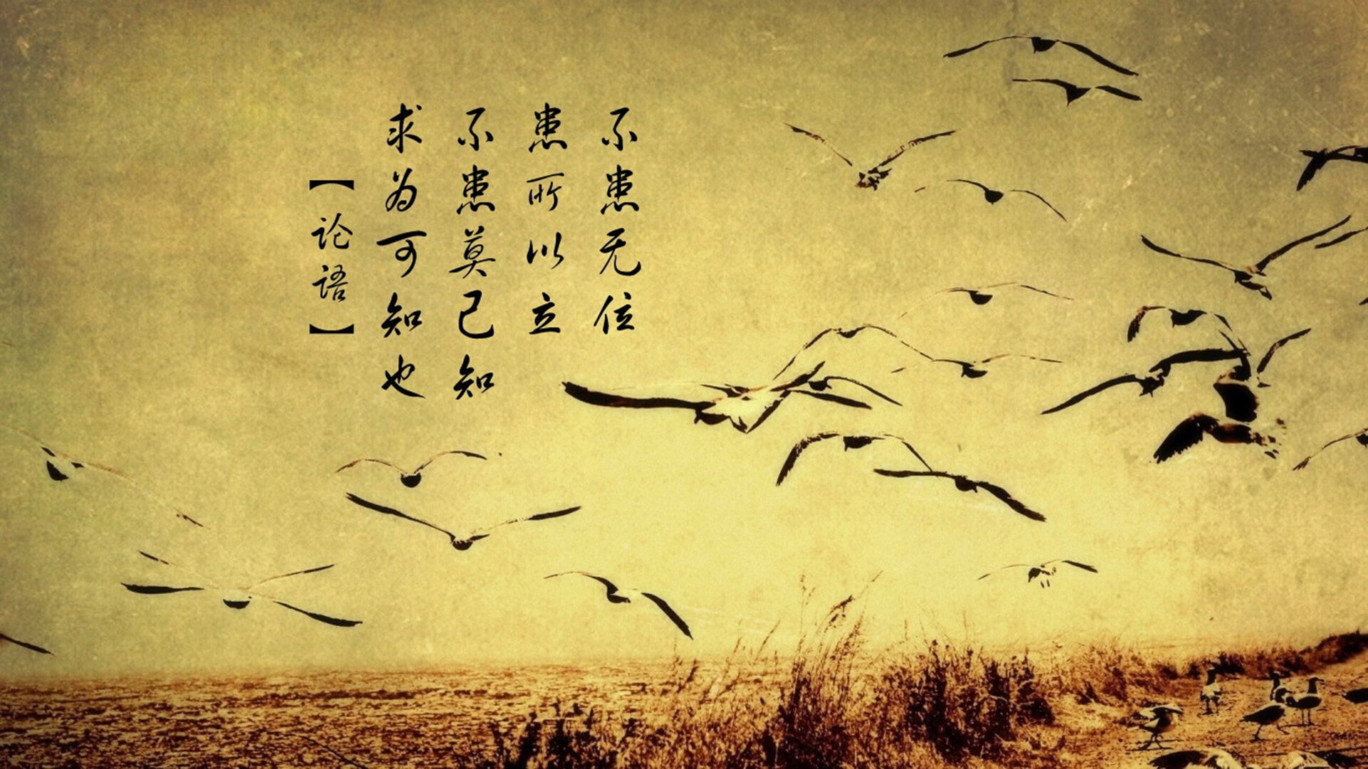 姆巴佩独木难支！巨星之光下，尼日利亚新锐一波流带走韩国