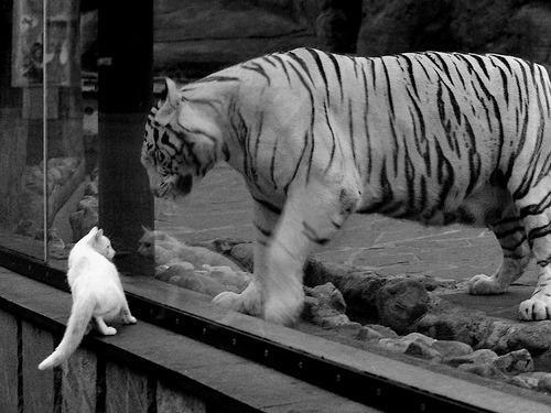 东瀛武士终结北欧童话，西班牙铁腰末节定乾坤