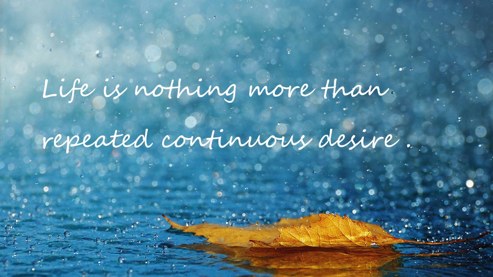 深夜惊雷!广厦奇兵福克斯偷走胜利,勇士主场陷落