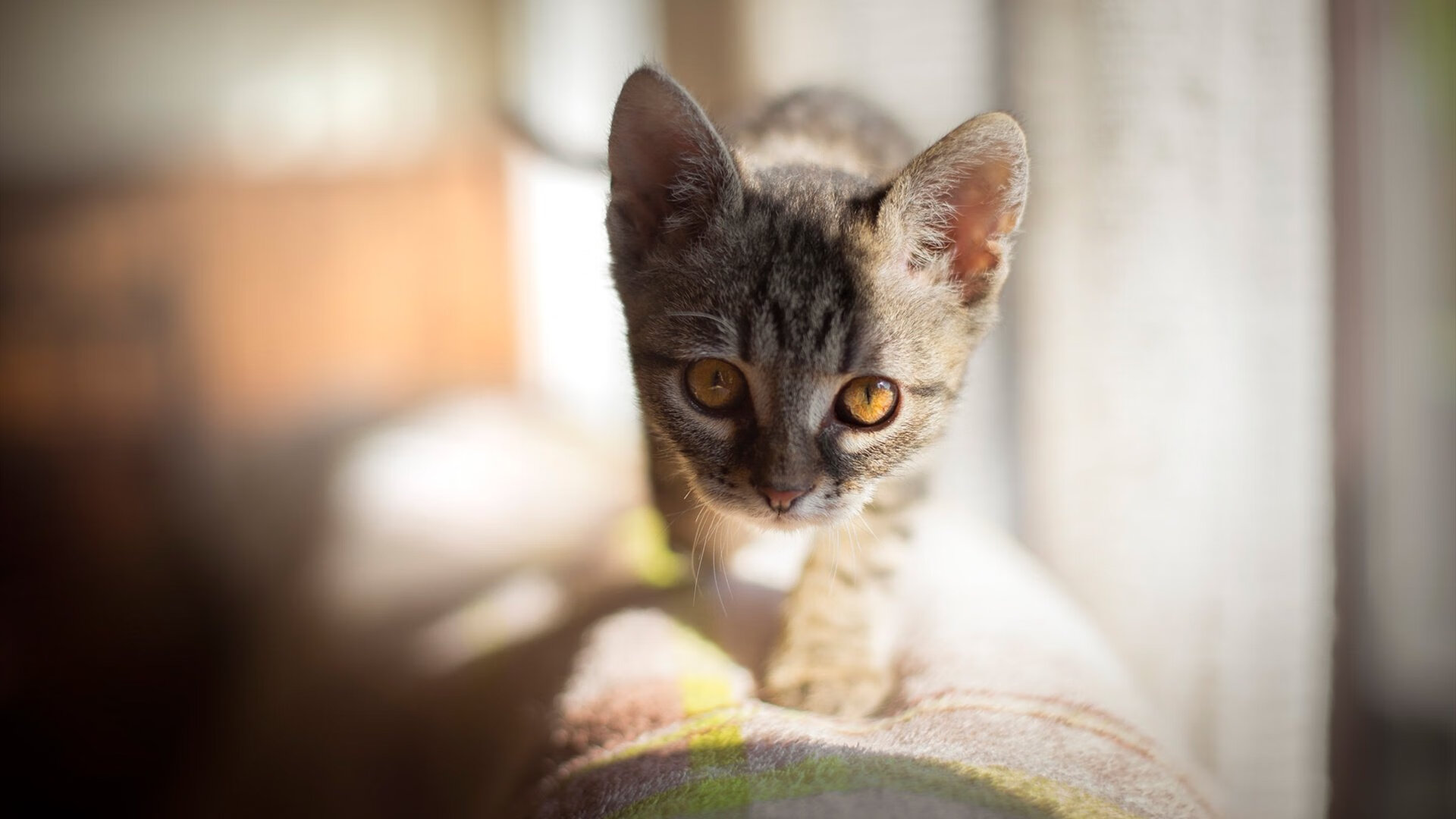 生死战之光，马丁内利爆发助巴萨力克马竞