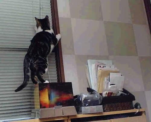 英超争冠今夜血战,昨日回忆里AC米兰如何粉碎利物浦的欧冠梦?