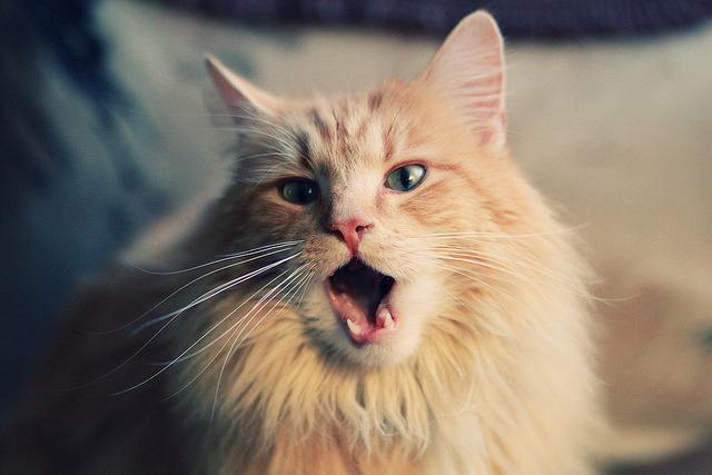 坚韧与救赎,从活塞扼杀骑士到字母哥奥运周期关键战接管比赛