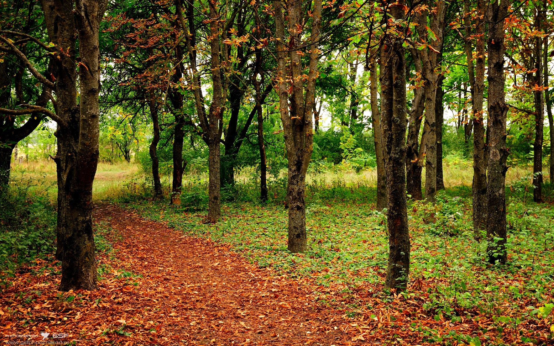 稳定之锚与绝杀之刃，黄喜灿的持续火力与哥伦比亚的致命一击