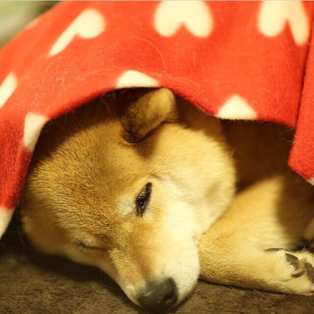 球场上的外交胜利,奥纳纳关键战接管比赛与美国带走南非的战略隐喻