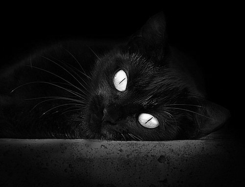 轰鸣赛道与篮球鞋摩擦声,超越赛场的「拉开差距」艺术