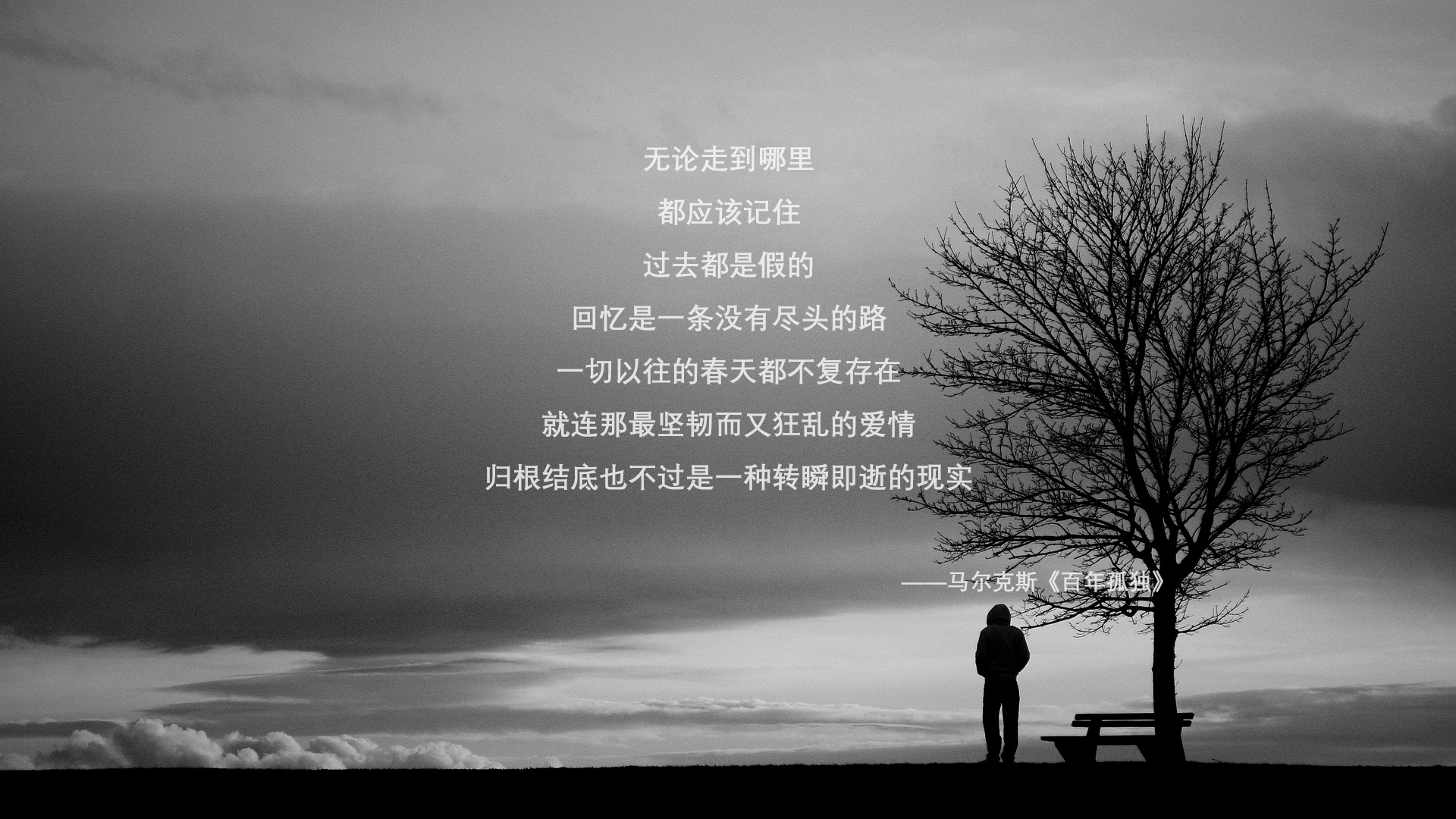 草根逆袭与巨星闪耀，篮球世界的两极狂欢